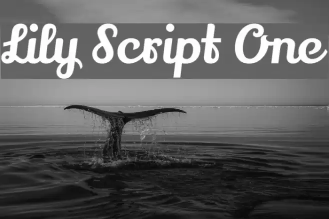 Lily Script One Font examples