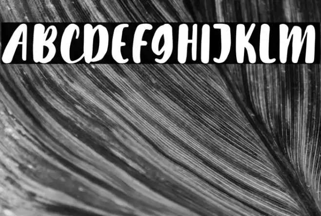 LilyWhite Font examples