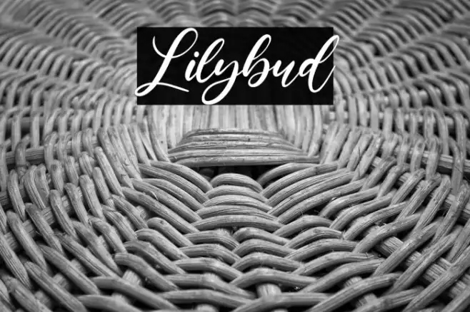 Lilybud Example 2