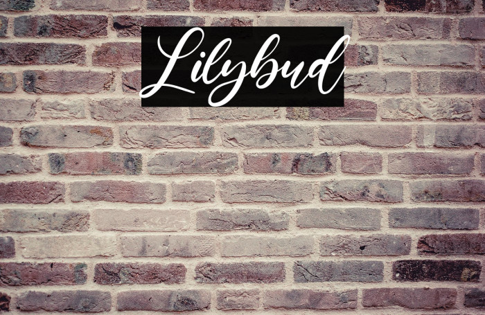Lilybud Example 3