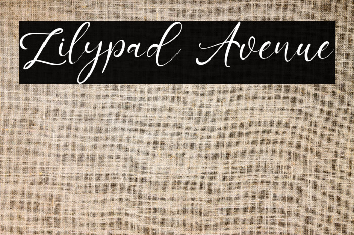 Lilypad Avenue Example 1