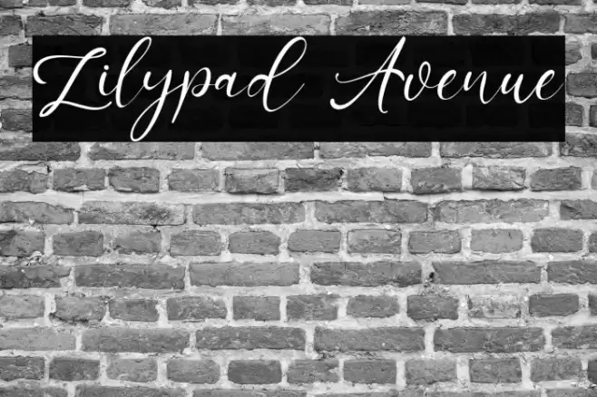 Lilypad Avenue Font examples