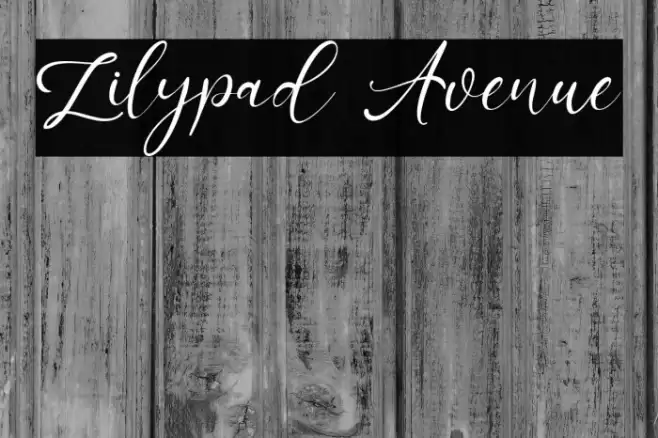 Lilypad Avenue Font examples