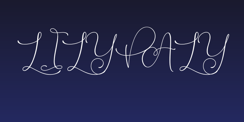 Lilypaly Social Header