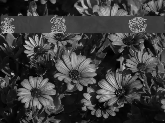 Lime Blossom Caps Font examples