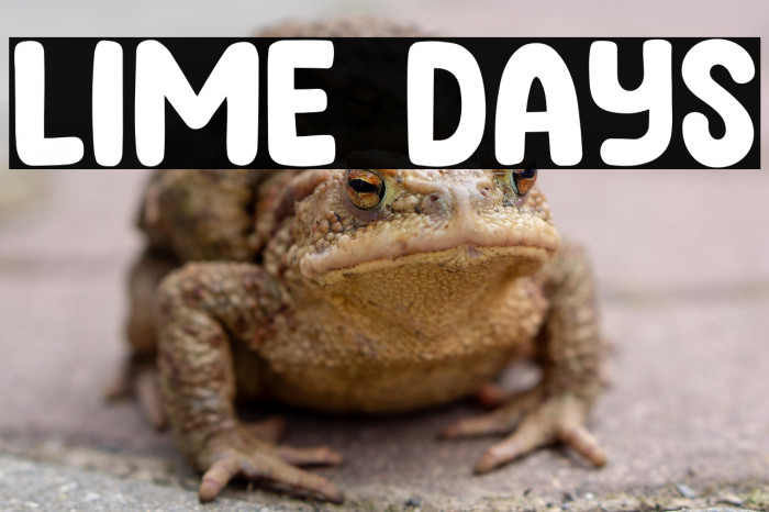 Lime Days Example 3