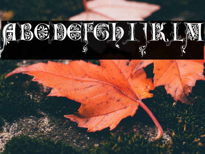 LimeGloryCaps Example 3