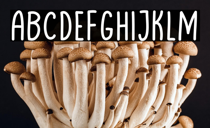 LimejuiceThin Example 3