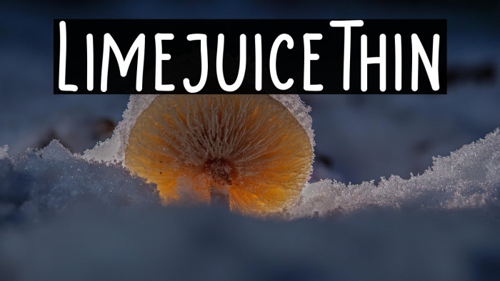 LimejuiceThin Example 3