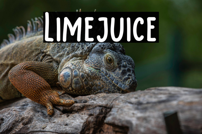 Limejuice Example 2
