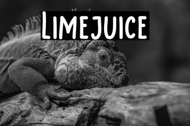 Limejuice Font examples
