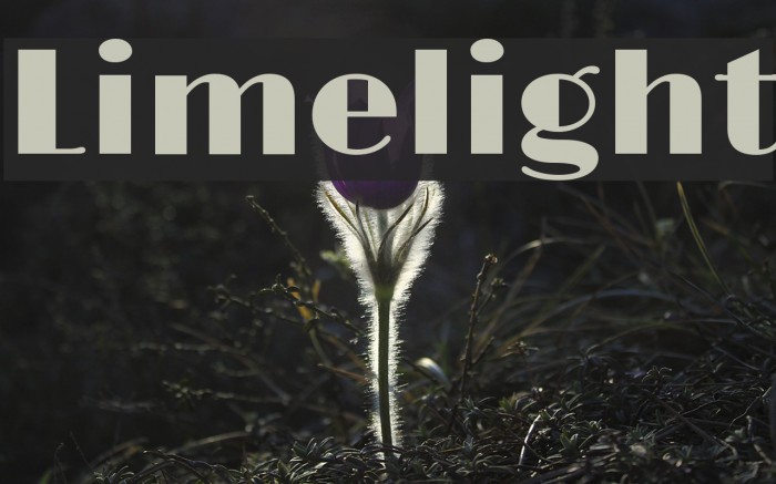 Limelight Font examples