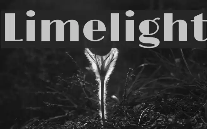 Limelight Schriftart examples