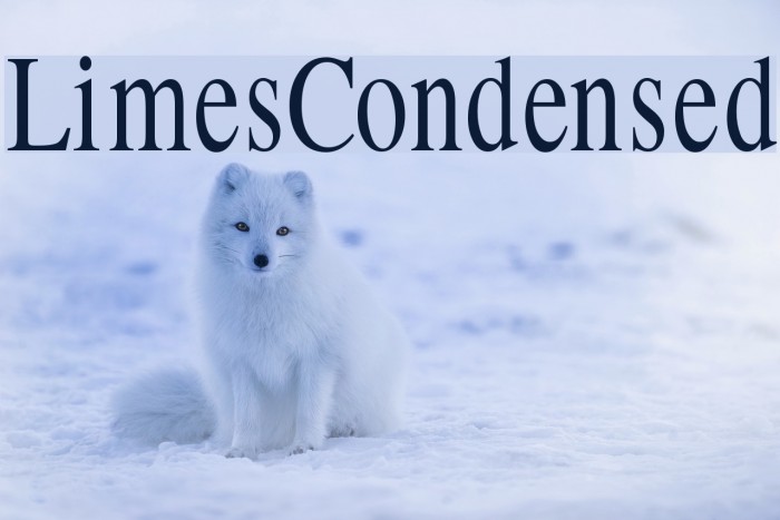 LimesCondensed Font examples