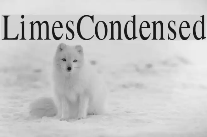 LimesCondensed Example 2