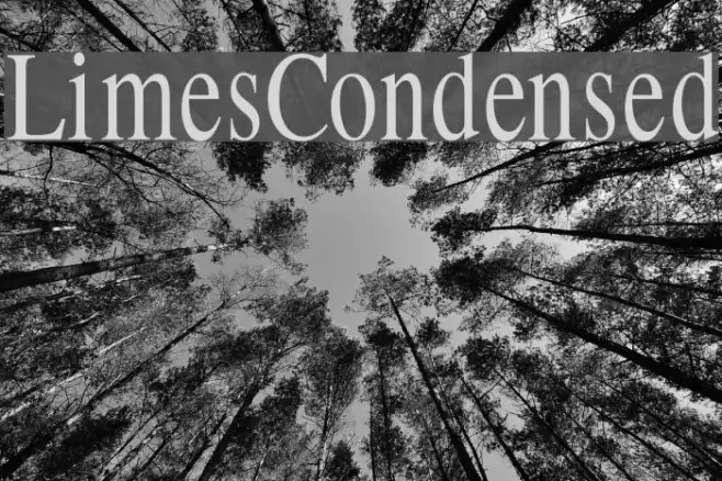 LimesCondensed Example 3
