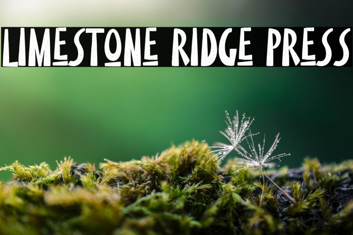 Limestone Ridge Press Example 1