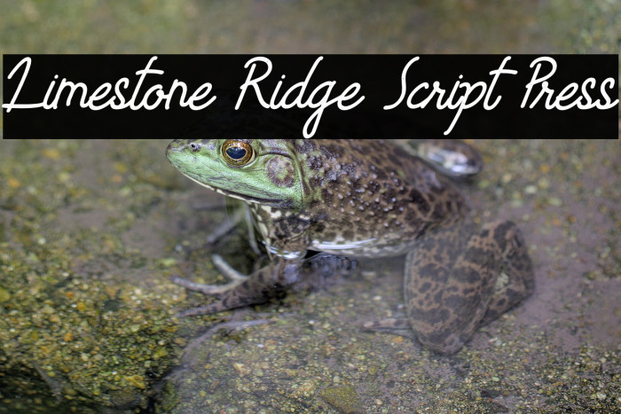 Limestone Ridge Script Press Example 1