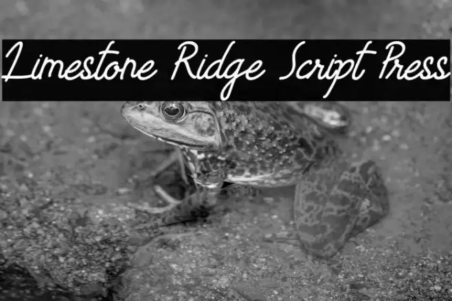 Limestone Ridge Script Press Font examples