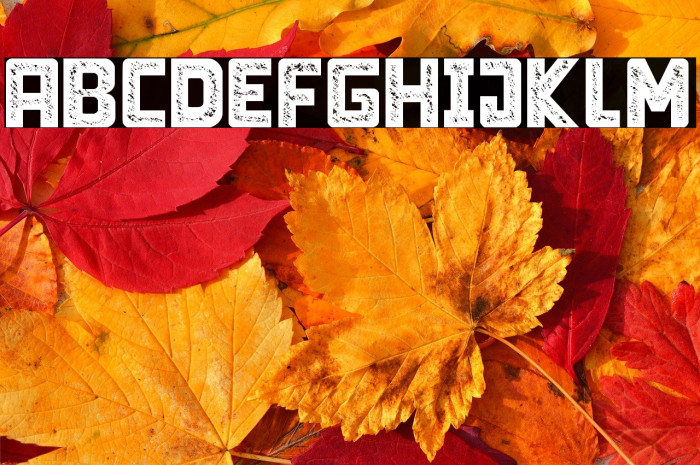 Limit Breaking - Personal use Example 2