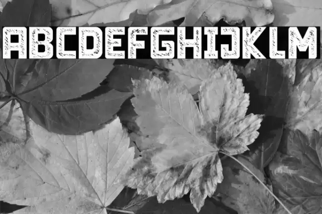 Limit Breaking - Personal use Font examples