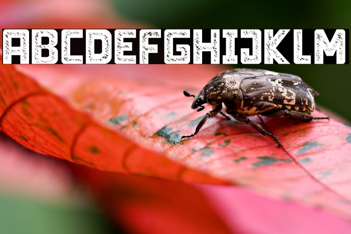 Limit Breaking - Personal use Example 3