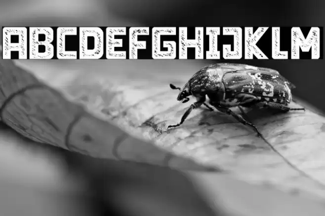 Limit Breaking - Personal use Font examples