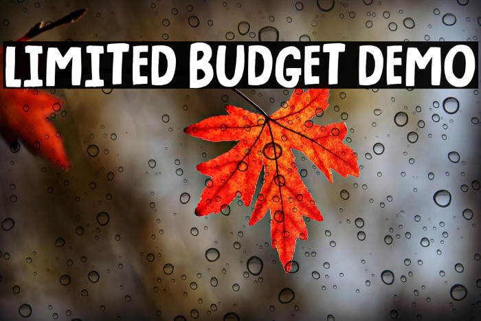 Limited Budget DEMO Example 1