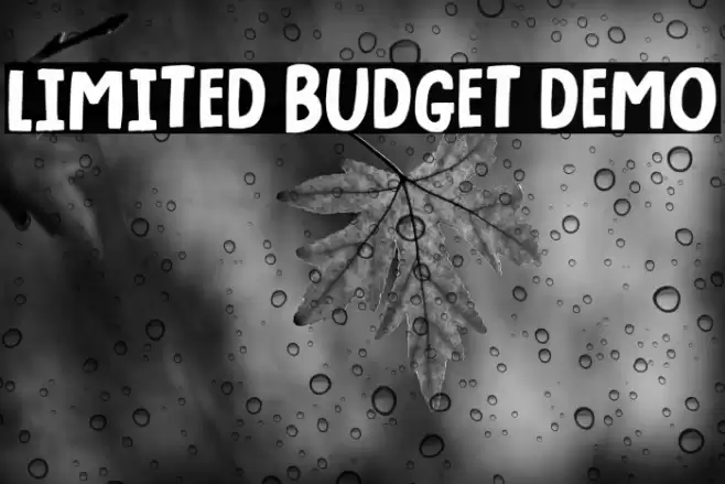Limited Budget DEMO Font examples