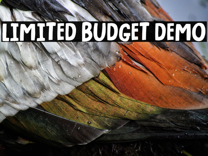 Limited Budget DEMO Example 2