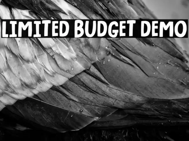 Limited Budget DEMO Font examples