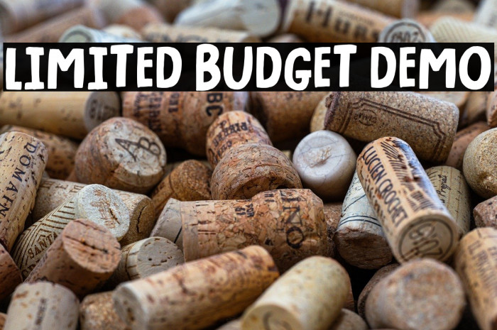 Limited Budget DEMO Example 3