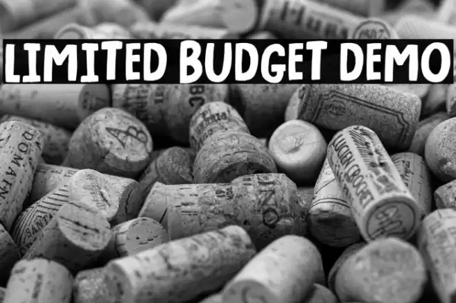 Limited Budget DEMO Font examples