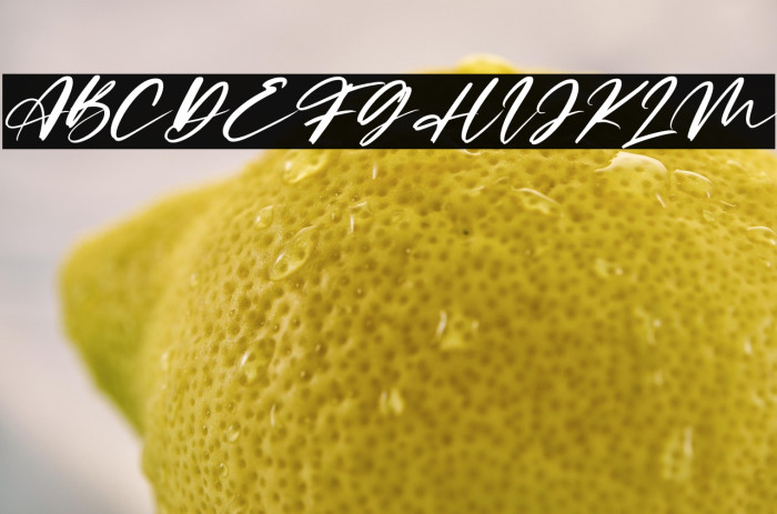 Limited Edition Italic Example 2