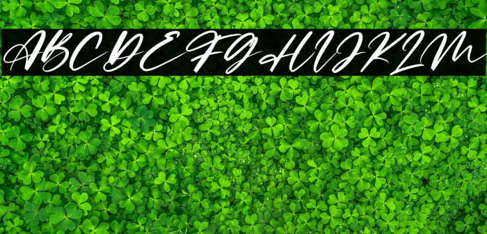 Limited Edition Italic Example 3