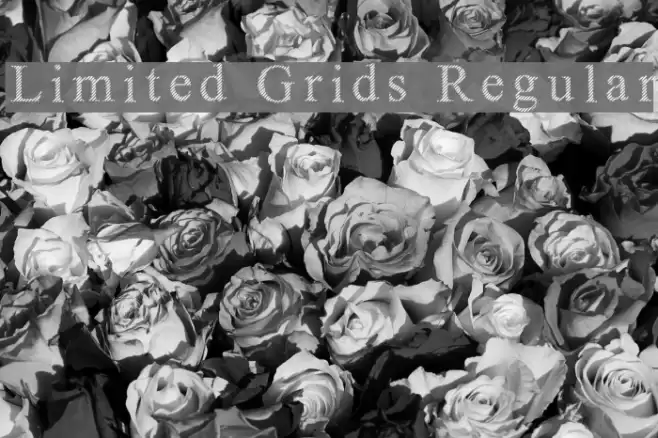 Limited Grids Regular Font examples