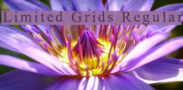 Limited Grids Regular Шрифта examples