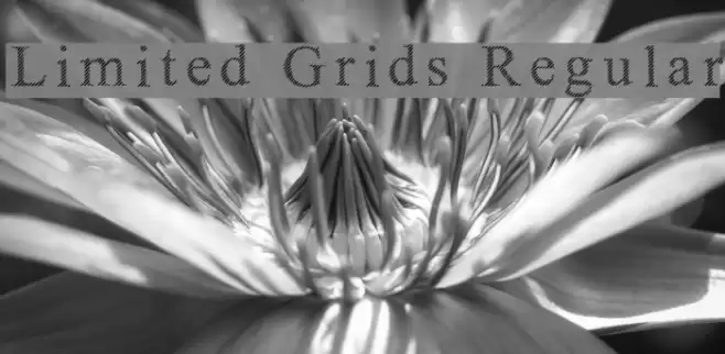 Limited Grids Regular Font examples