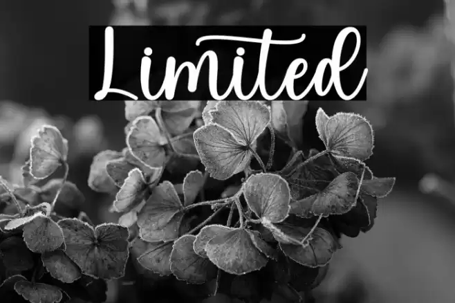 Limited Caratteri examples