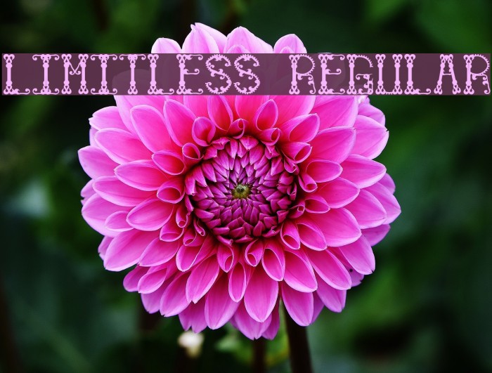 Limitless Regular Font examples