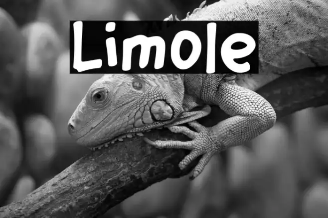 Limole Example 1