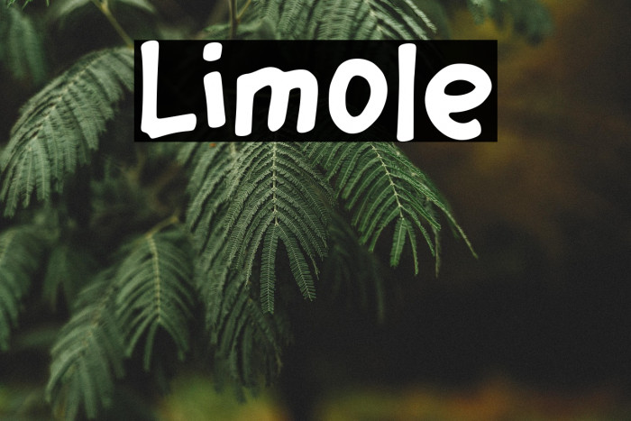 Limole Example 2