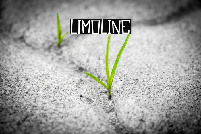 Limoline Font examples