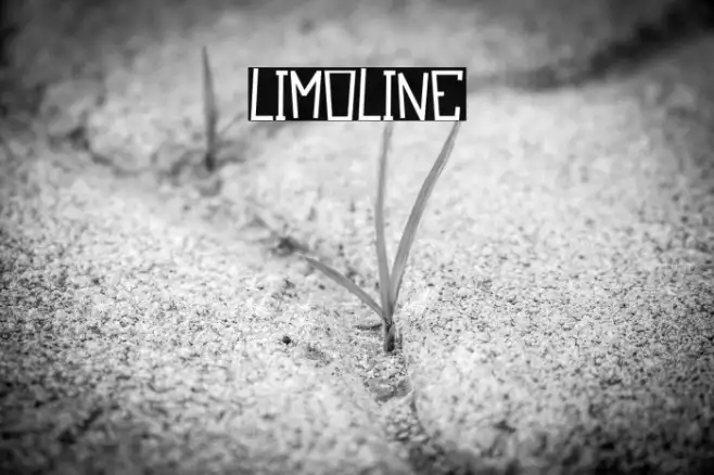 Limoline Example 1
