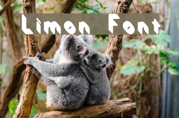 Limon Font examples