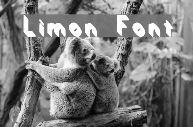 Limon Example 1
