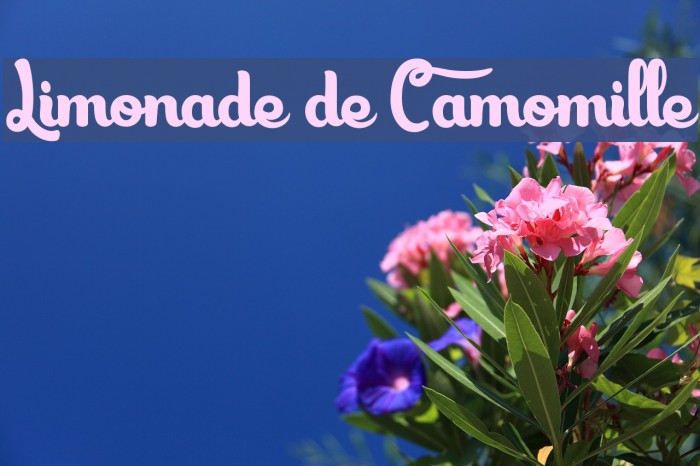 Limonade de Camomille Шрифта examples