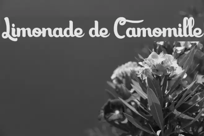 Limonade de Camomille Font examples