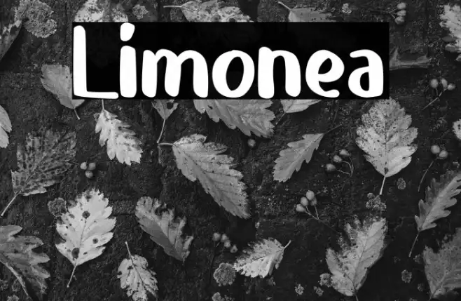 Limonea Example 1