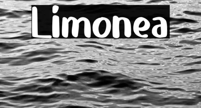 Limonea Example 2